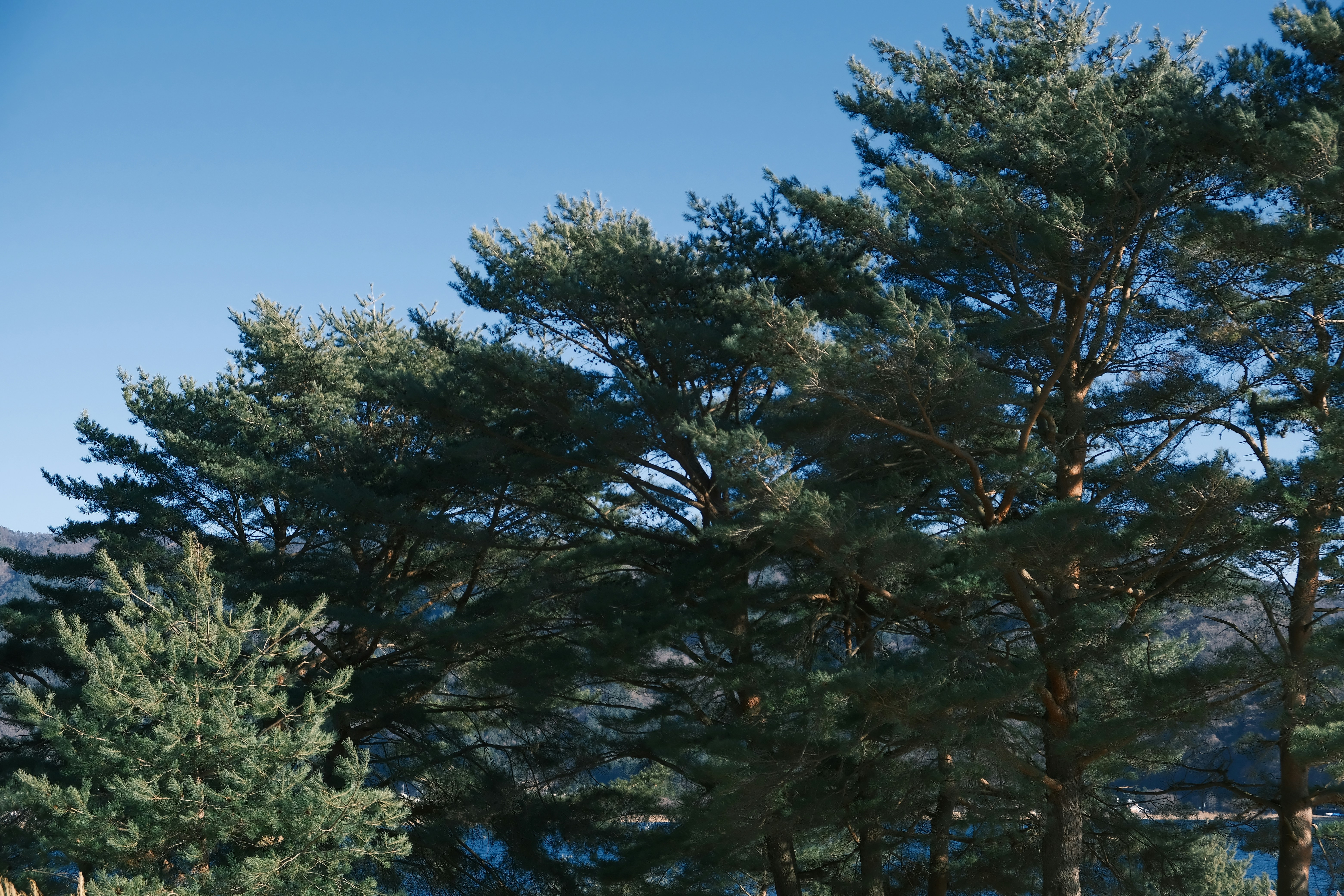 DP Medical unveils a new era of carbon reduction